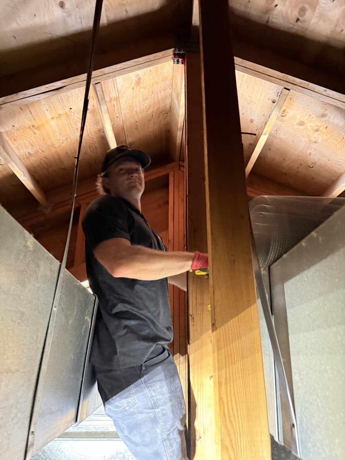 Technician inspecting an attic space for signs of wildlife activity