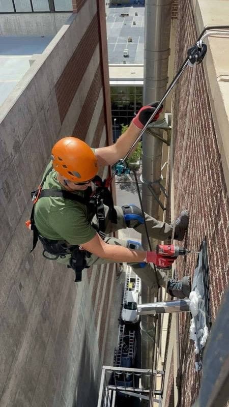 Technician on rope installing a one-way bat exclusion device on a brick exterior wall