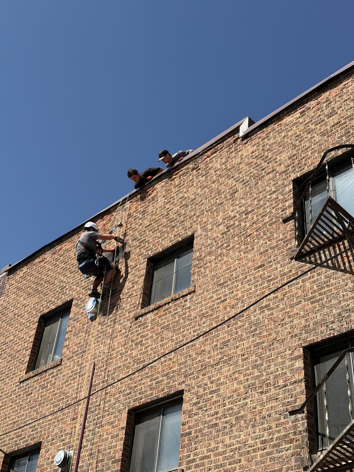 Two technicians on ropes working a commercial bat exclusion high on a brick building