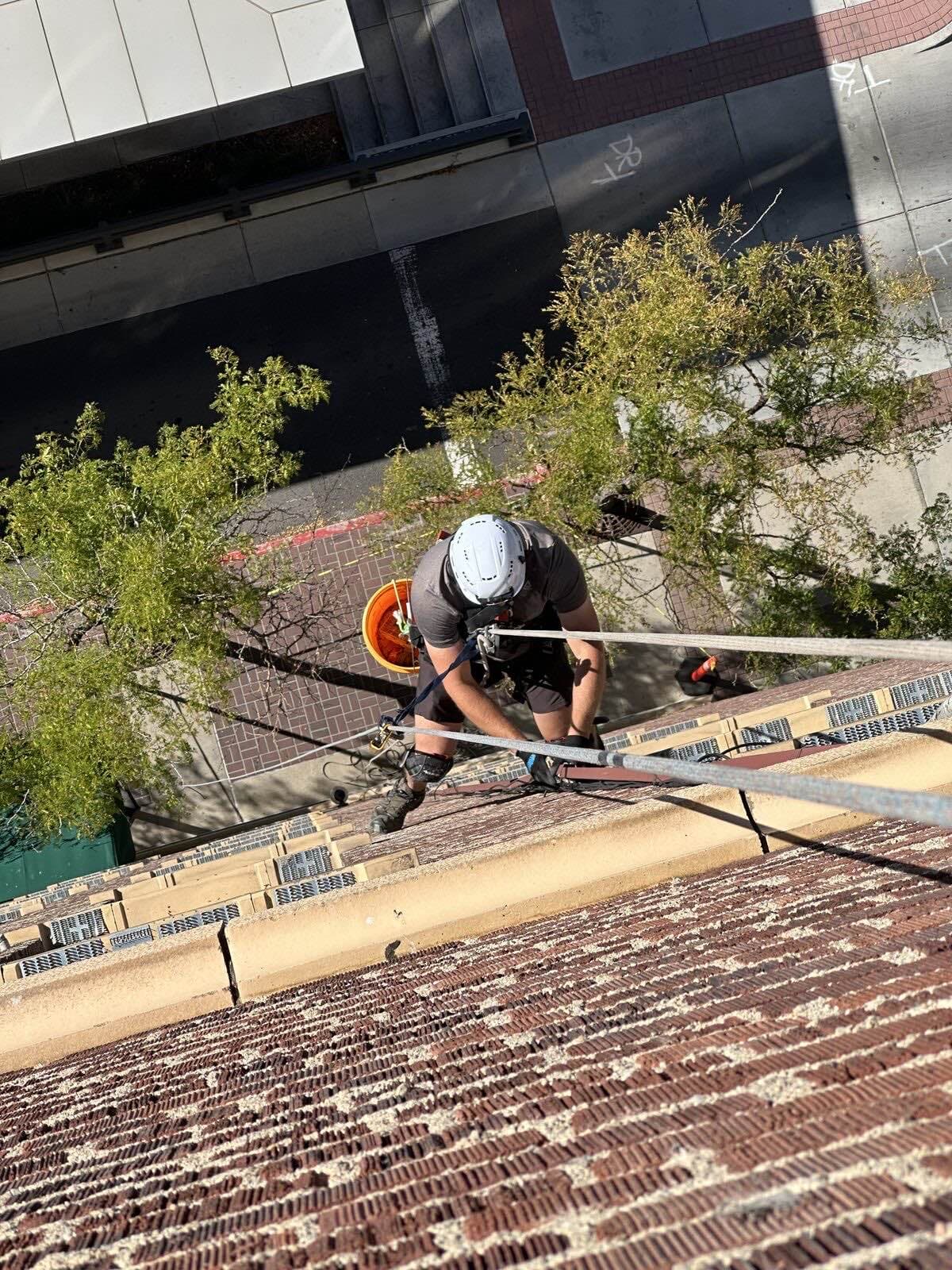 Technician on rope inspecting a roofline for wildlife entry points from above