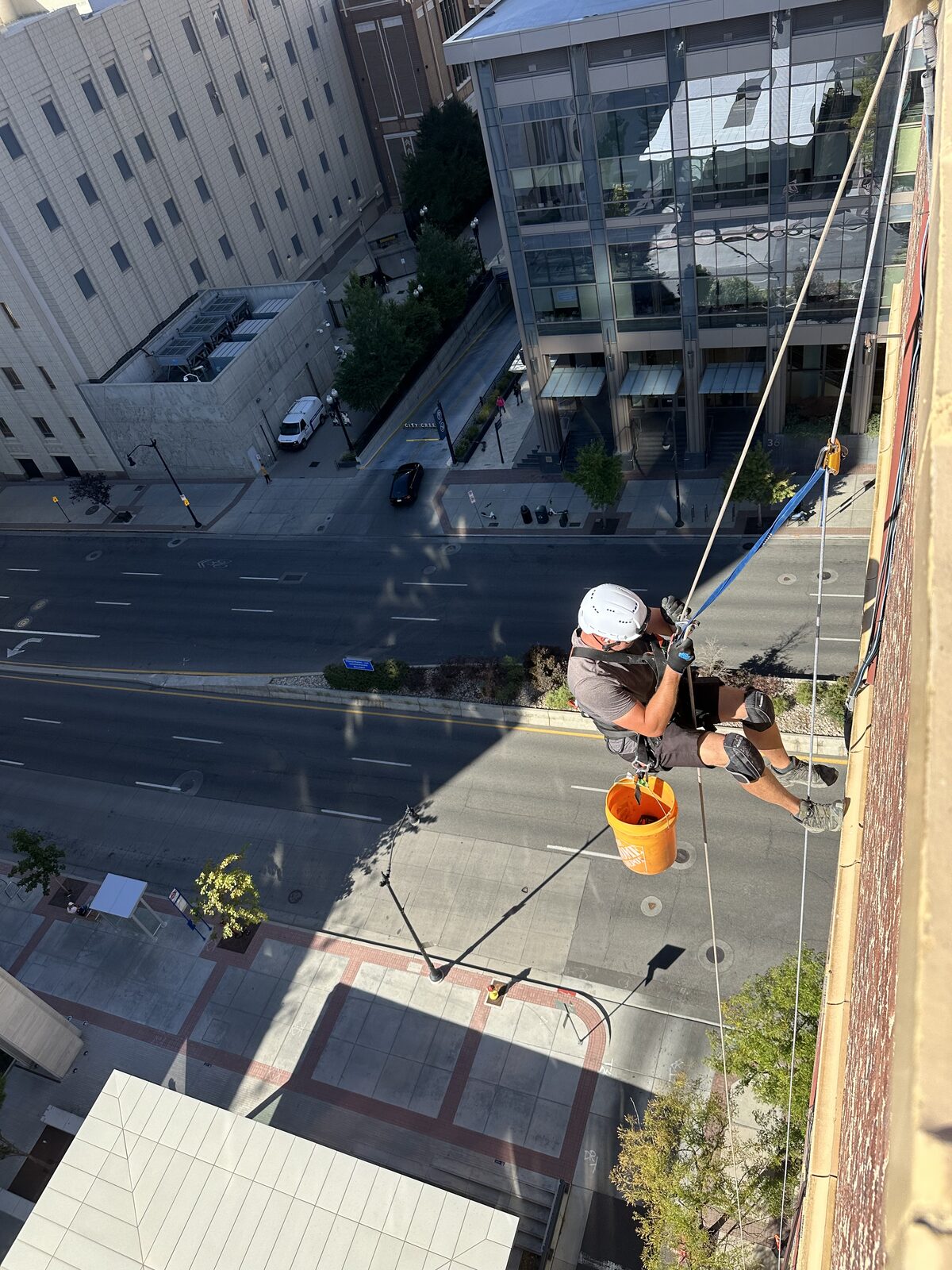 Exterior bat exclusion work on a tall occupied building