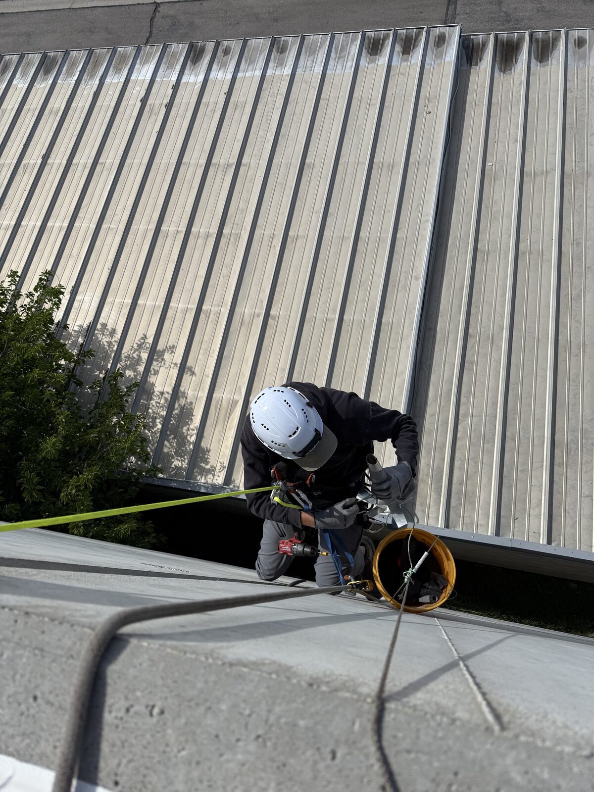 Technician closing an upper-story bat opening