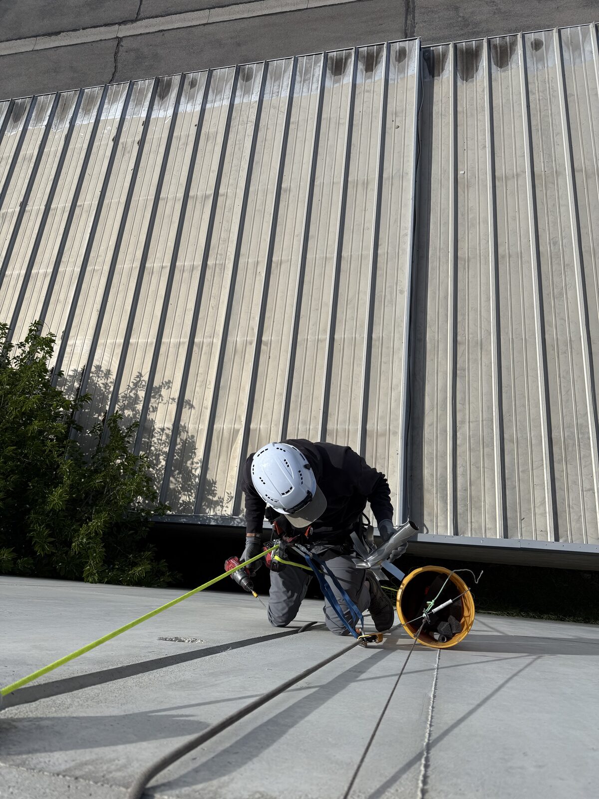 Rope technician preparing bat-proofing materials